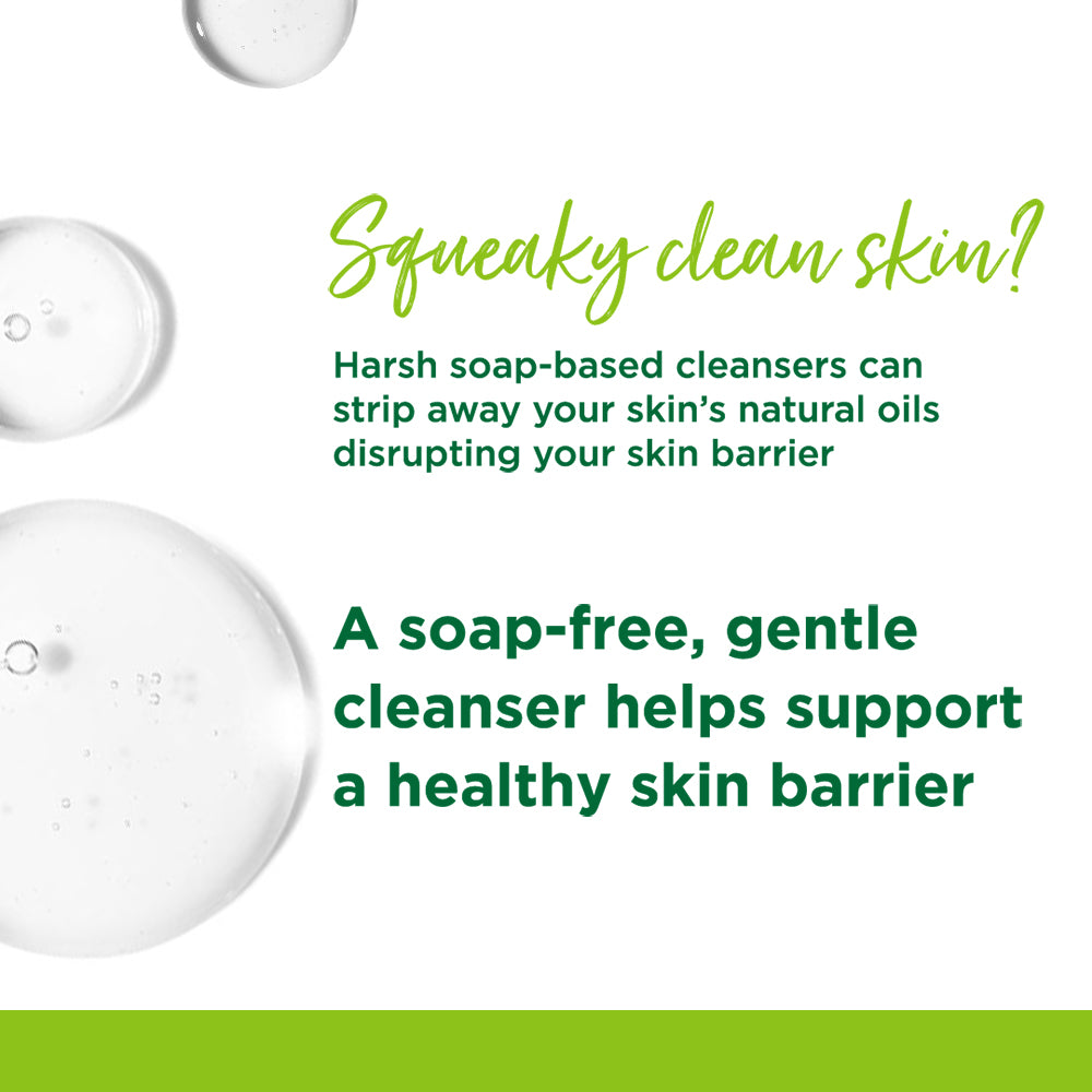 Refreshing Facial Wash + Cleansing Wipes 